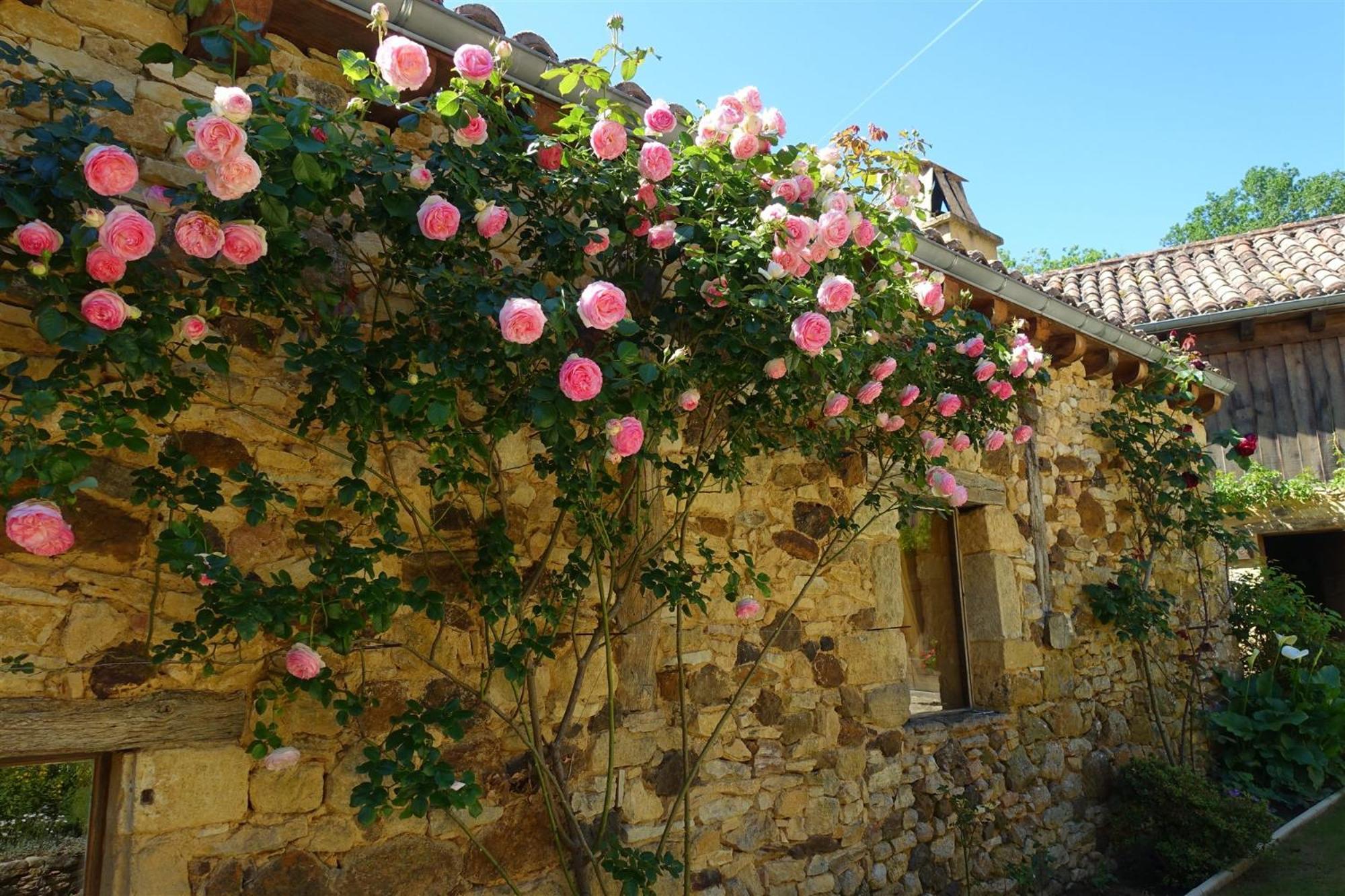 Domaine De Cournet Haut, A 17Th Century Property Set On A Calm, Idyllic Domain With Pool, Tennis, Bikes And More Les Vauries ภายนอก รูปภาพ