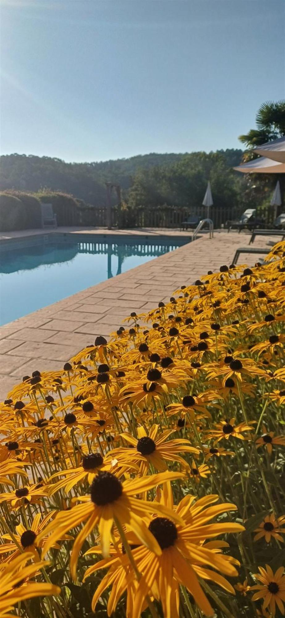 Domaine De Cournet Haut, A 17Th Century Property Set On A Calm, Idyllic Domain With Pool, Tennis, Bikes And More Les Vauries ภายนอก รูปภาพ